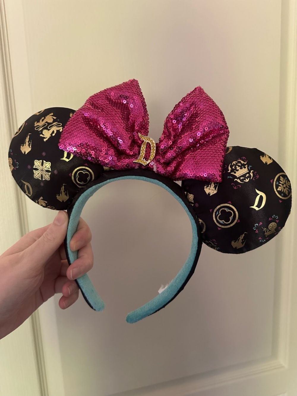 Disneyland Resort Ears